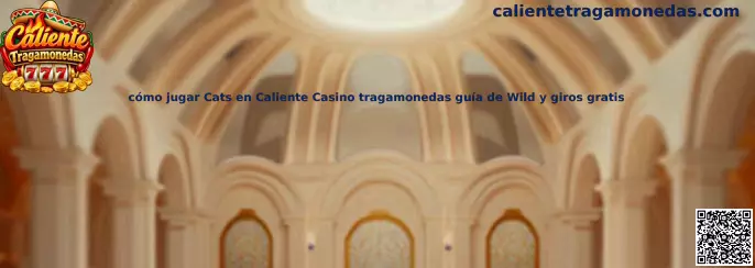 Cómo jugar Cats en Caliente Casino tragamonedas guía de Wild y giros gratis